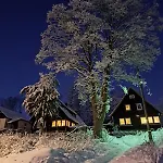 Haus Erna 아파트 *