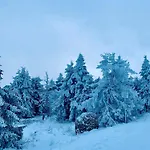 아파트 Haus Erna 시르케