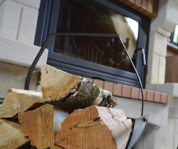 Haus Erna 公寓 施尔奇