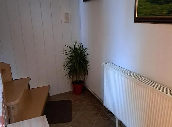 Haus Erna 아파트 시르케