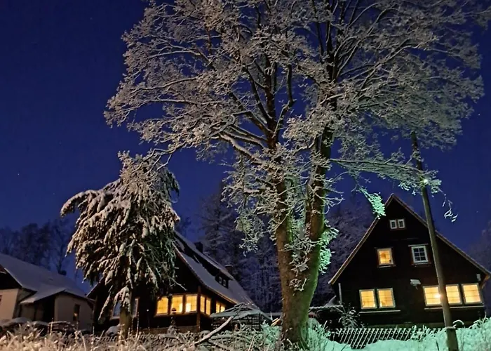 Haus Erna 아파트 *