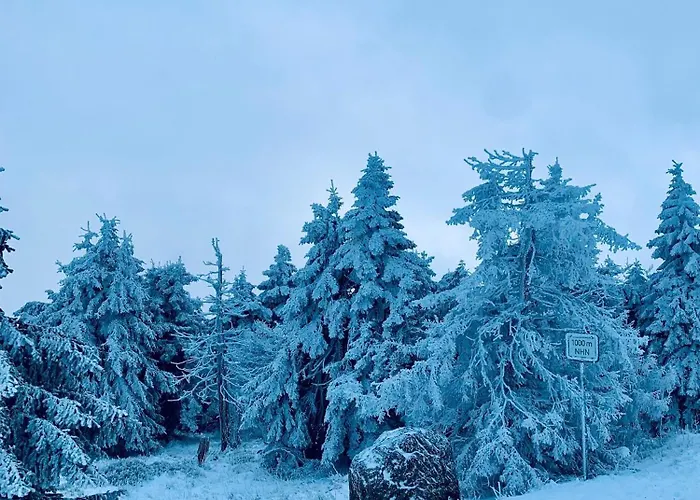 アパート Haus Erna シールケ